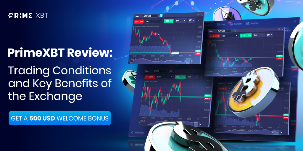 Discover the PrimeXBT Trading Hub Your Gateway to Crypto Trading Success
