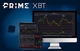 PrimeXBT Brazil Trader Exploring Opportunities in Cryptocurrency Trading